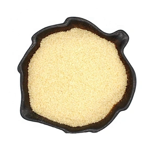 Factory Supplies Bulk Halal Bovine Gelatin Powder